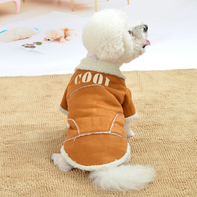 Comfy winter coat for small dogs stylish and warm