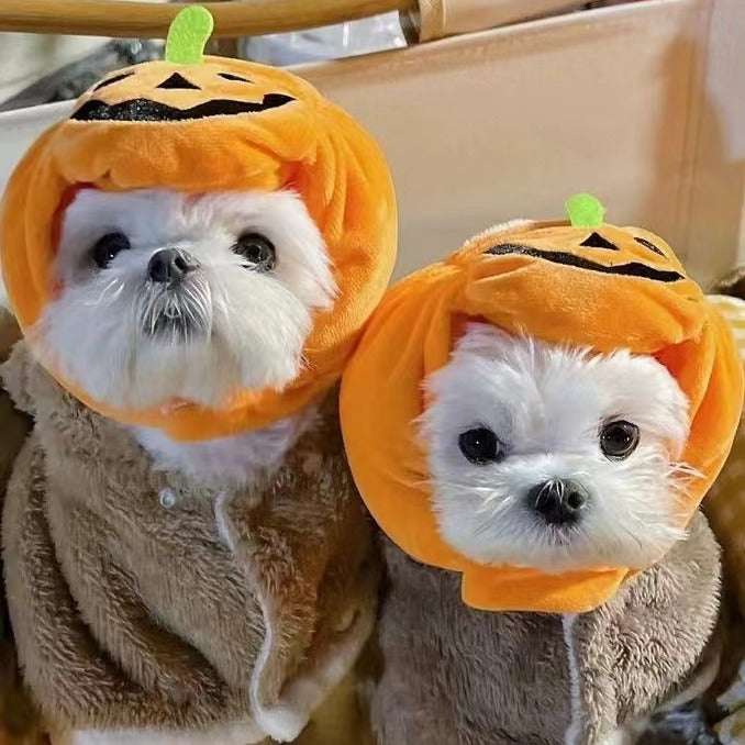 Halloween Pumpkin Pet Hat