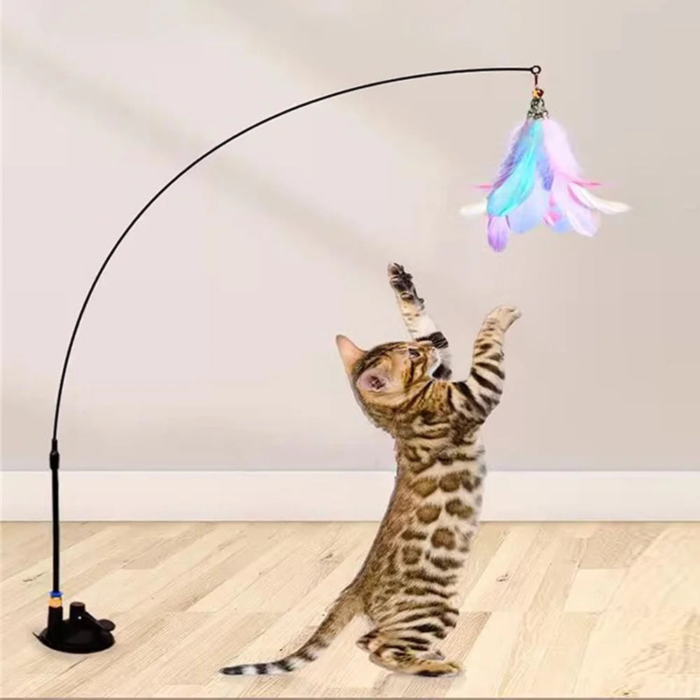 Interactive cat teaser toy with feathers, bell, and suction cup
