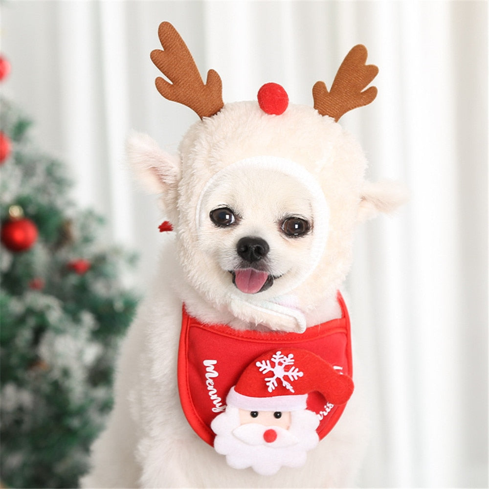 Christmas bandana and Santa hat for dogs and cats festive outfit