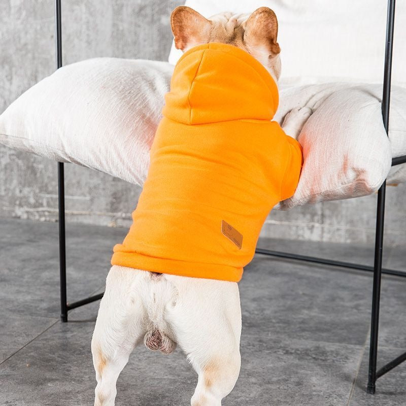 Protective autumn and winter clothes for small and medium bulldogs