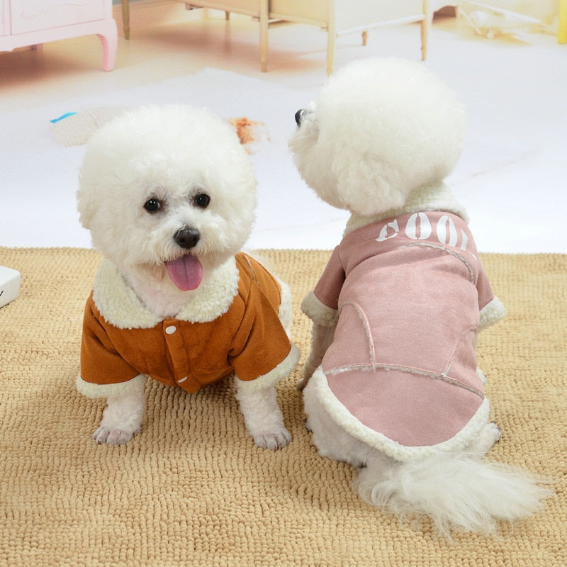 Comfy winter coat for small dogs stylish and warm
