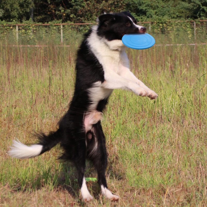 Floating frisbee for dogs perfect for water play and training