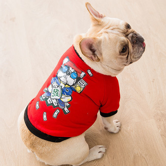 Protective autumn and winter clothes for small and medium bulldogs