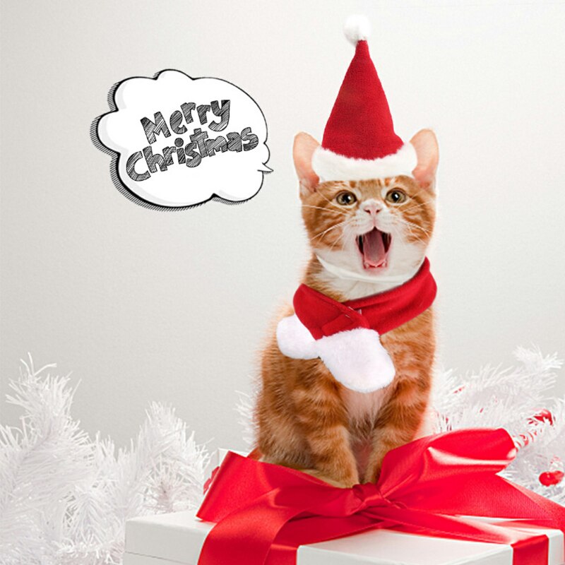 Dog scarf and cat Christmas hat festive pet accessories