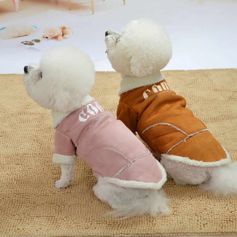 Comfy winter coat for small dogs stylish and warm