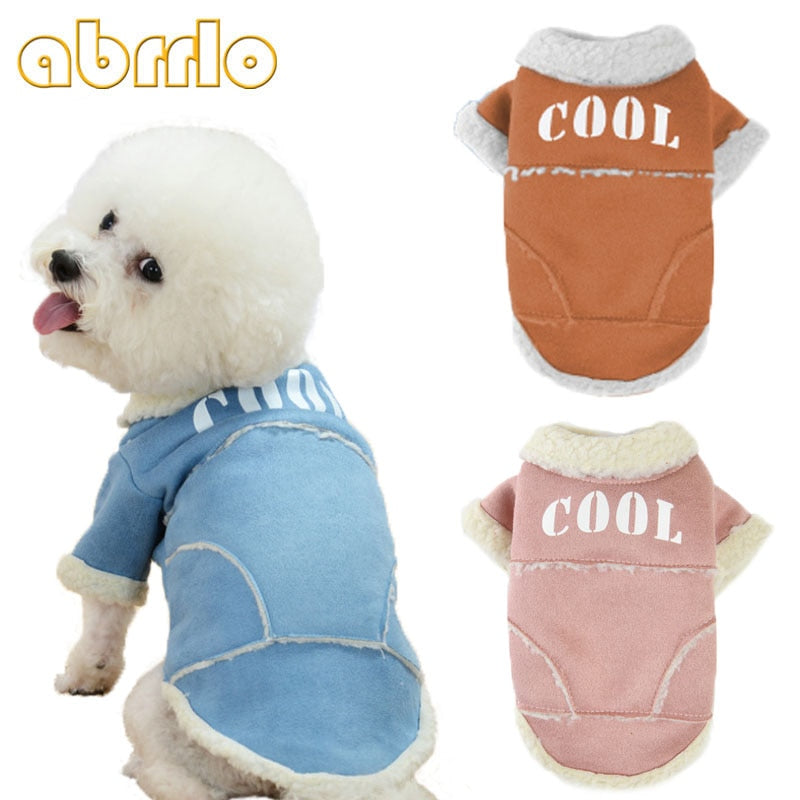 Comfy winter coat for small dogs stylish and warm