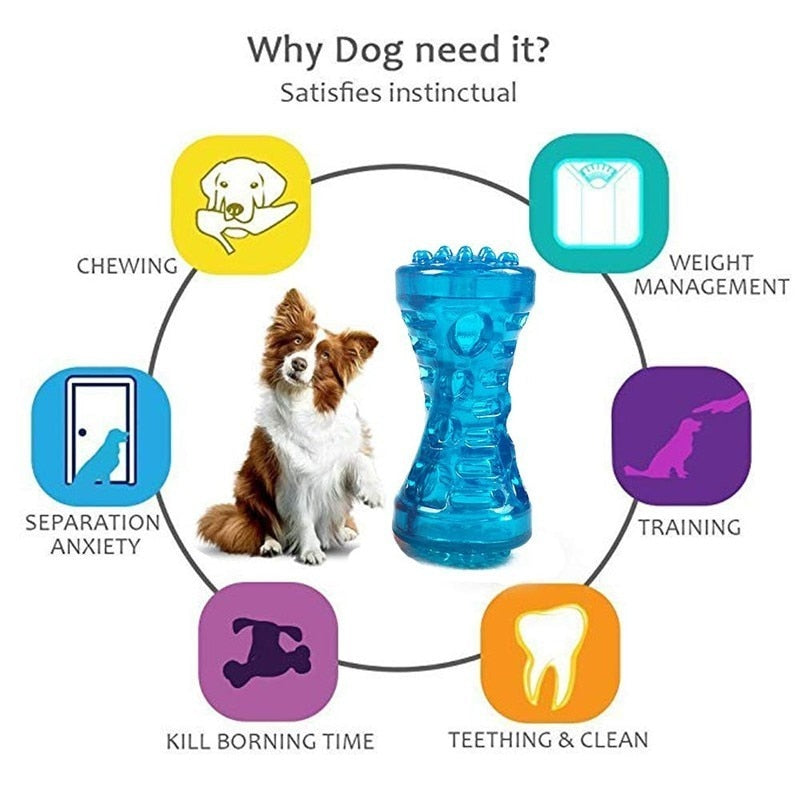 Durable TPR dog bone toy with sound and bite-resistant design