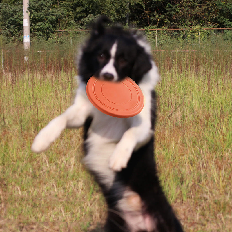 Floating frisbee for dogs perfect for water play and training