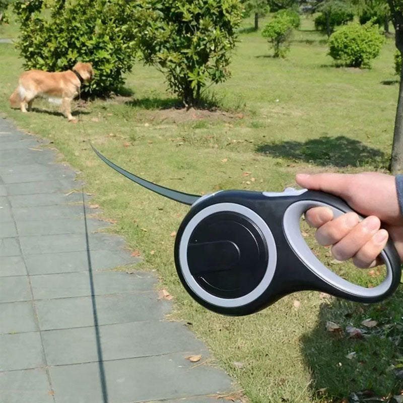 Retractable Dog Leash