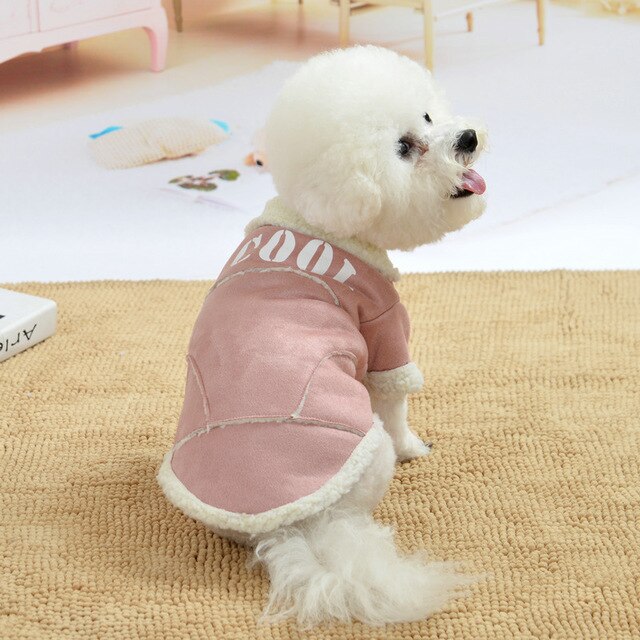 Comfy winter coat for small dogs stylish and warm