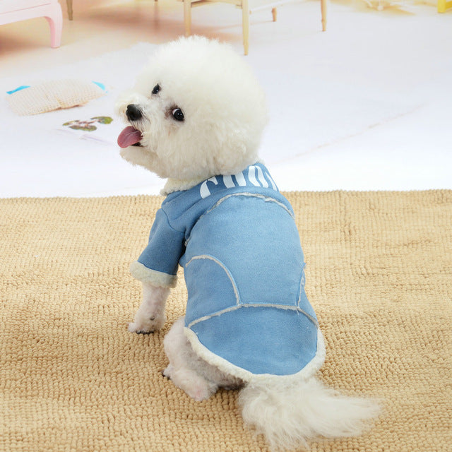 Comfy winter coat for small dogs stylish and warm
