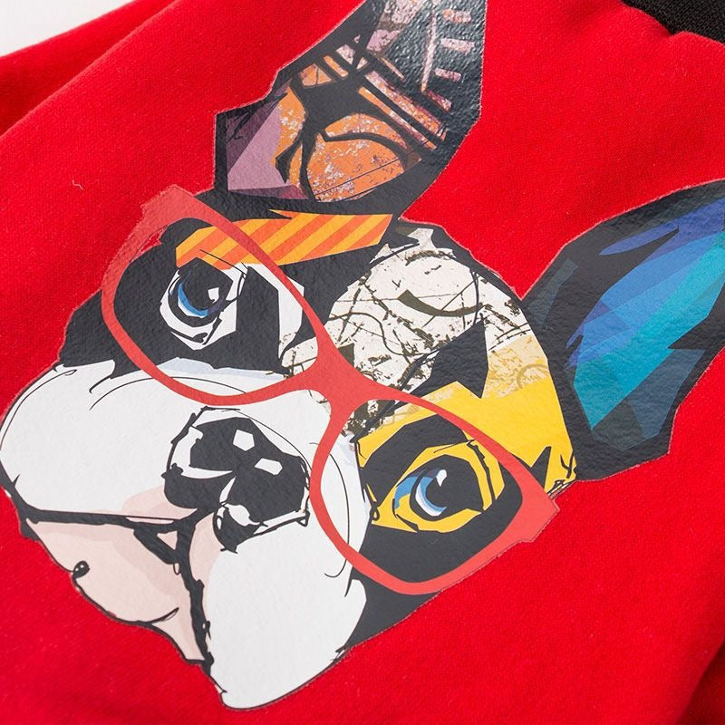 Protective autumn and winter clothes for small and medium bulldogs