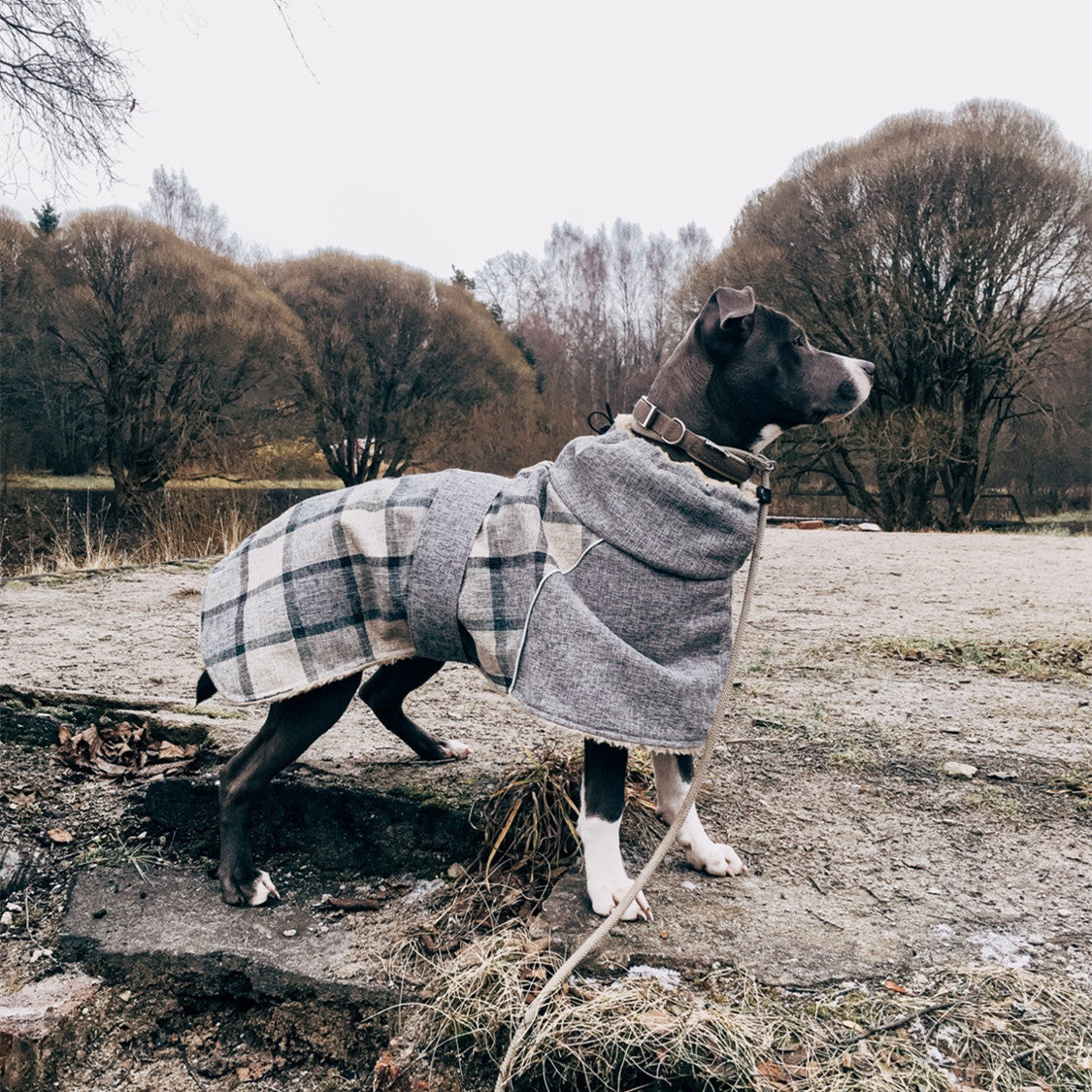 Autumn and winter plaid cotton jacket for dogs warm and cozy
