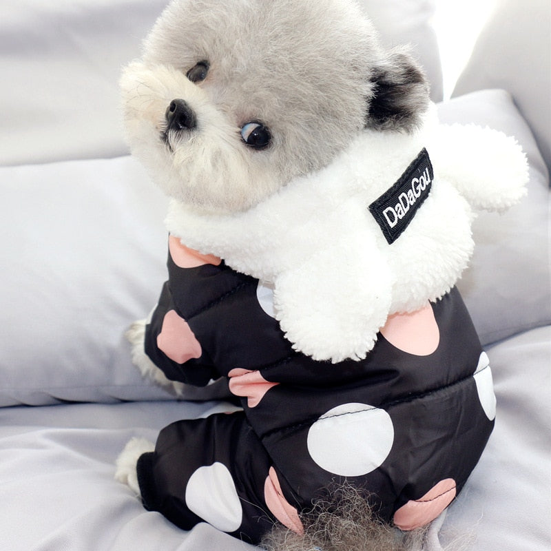 Warm winter hoodie coat for small dogs thick cotton polka dot