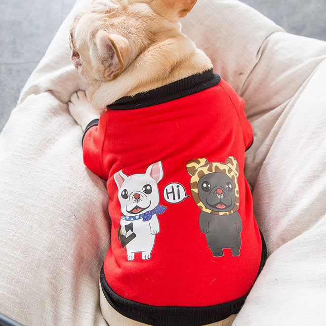 Protective autumn and winter clothes for small and medium bulldogs