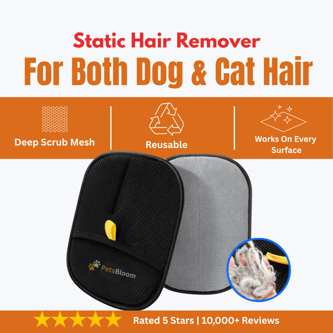 Static Pet Hair Removal Gloves - 3-in-1 Grooming & Deshedding